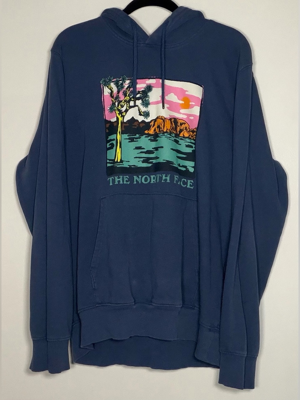 The North Face Men's Navy Hoodie with Multicolor Landscape Graphic